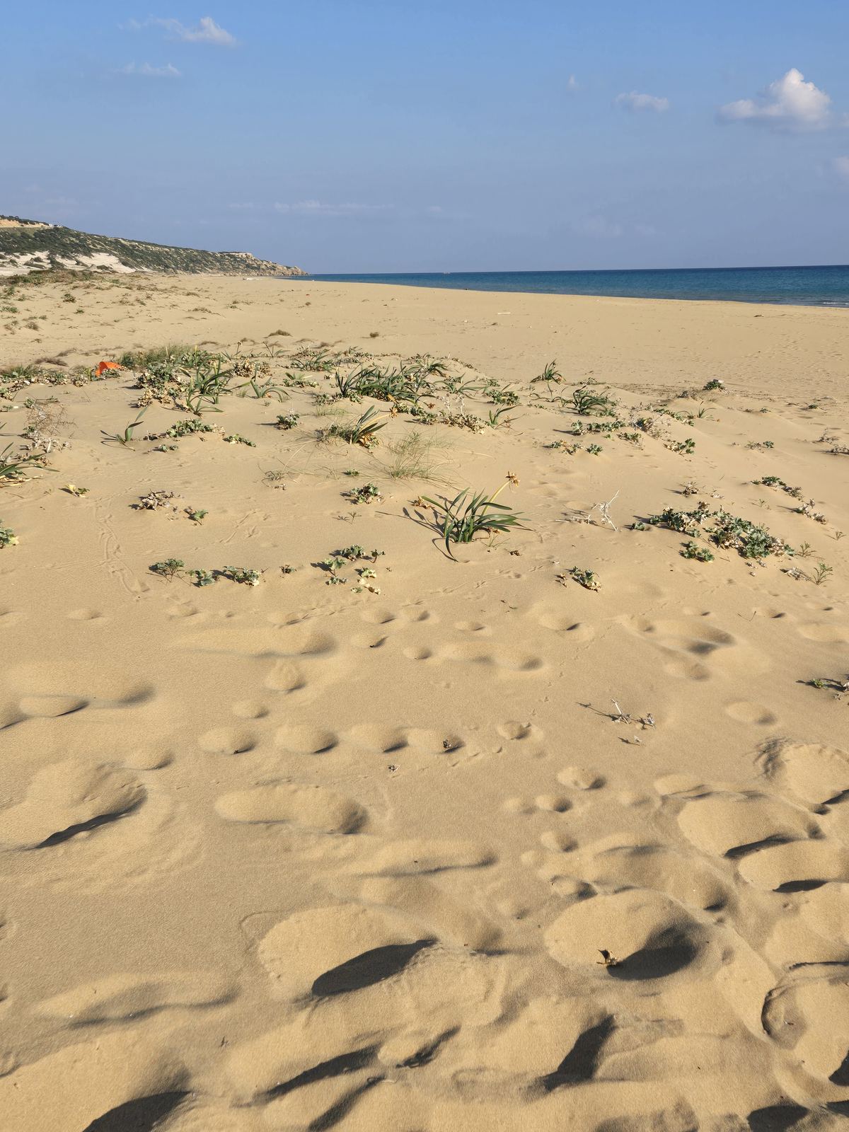Dünen und Strand auf der Karpaz-Halbinsel