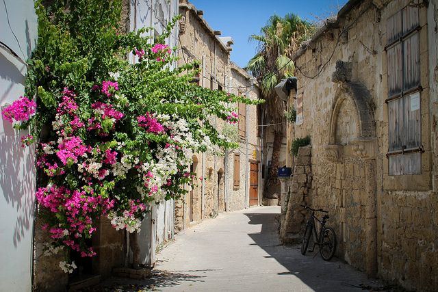 Gasse mit Bougainvillea in Lefkara